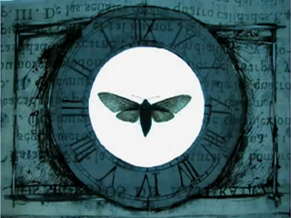 Video Album Art